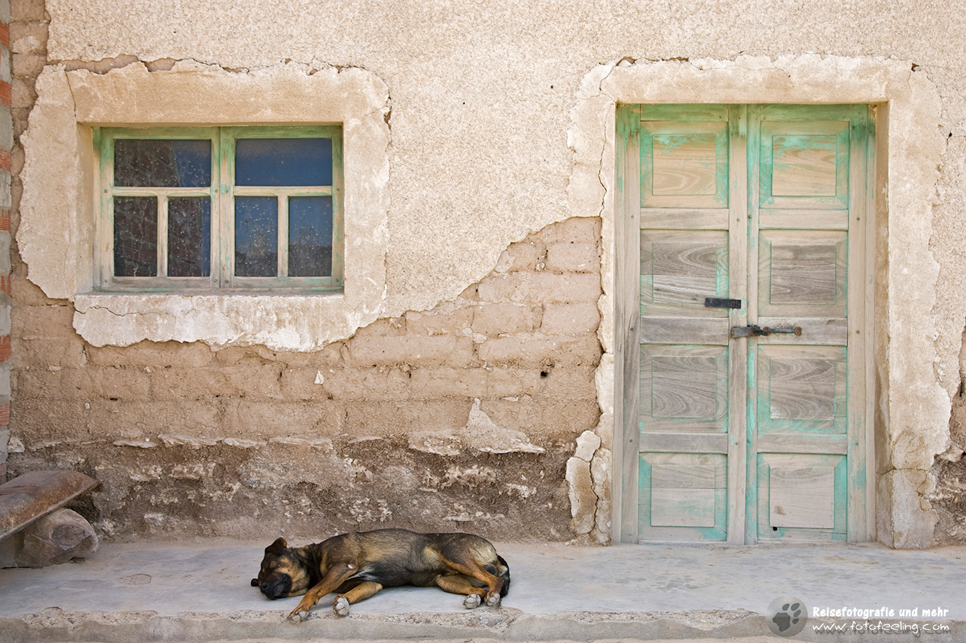 Schlafender Hund in einem Salzdorf am Rande des Salzsees Salar de Uyuni