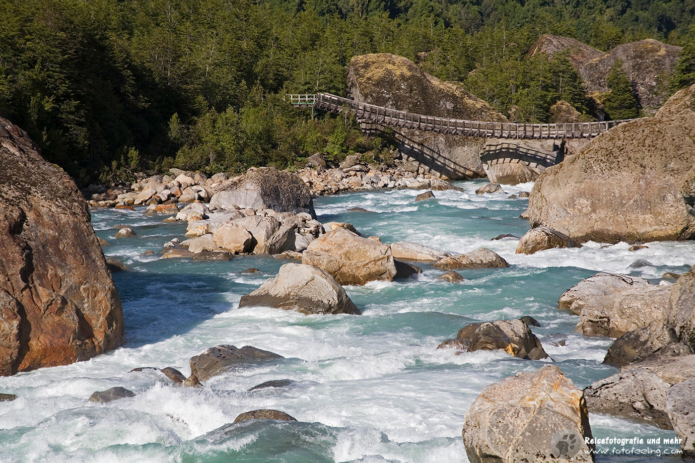 Hängebrücke im Park Queulat