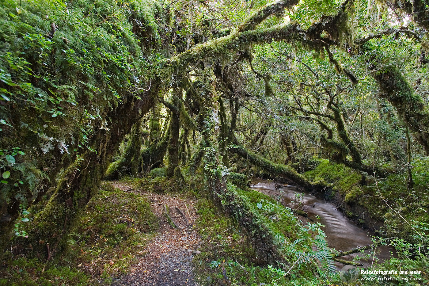 Märchenwald Bosque Encantada