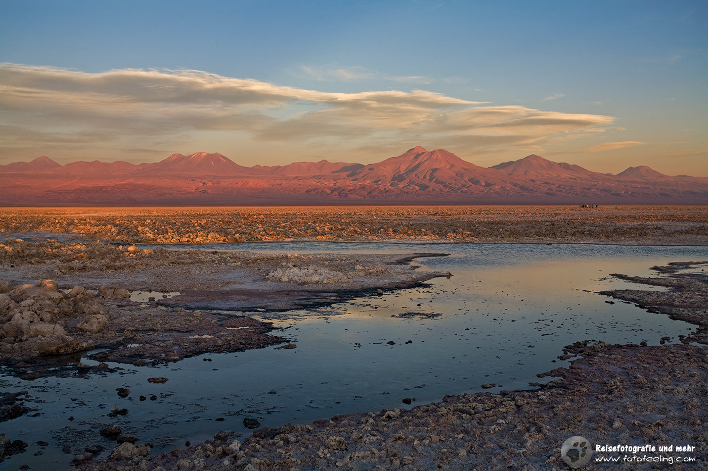 Lagune Lago Chaxa im Sonnenuntergang, Salzsee Salar de Atacama
