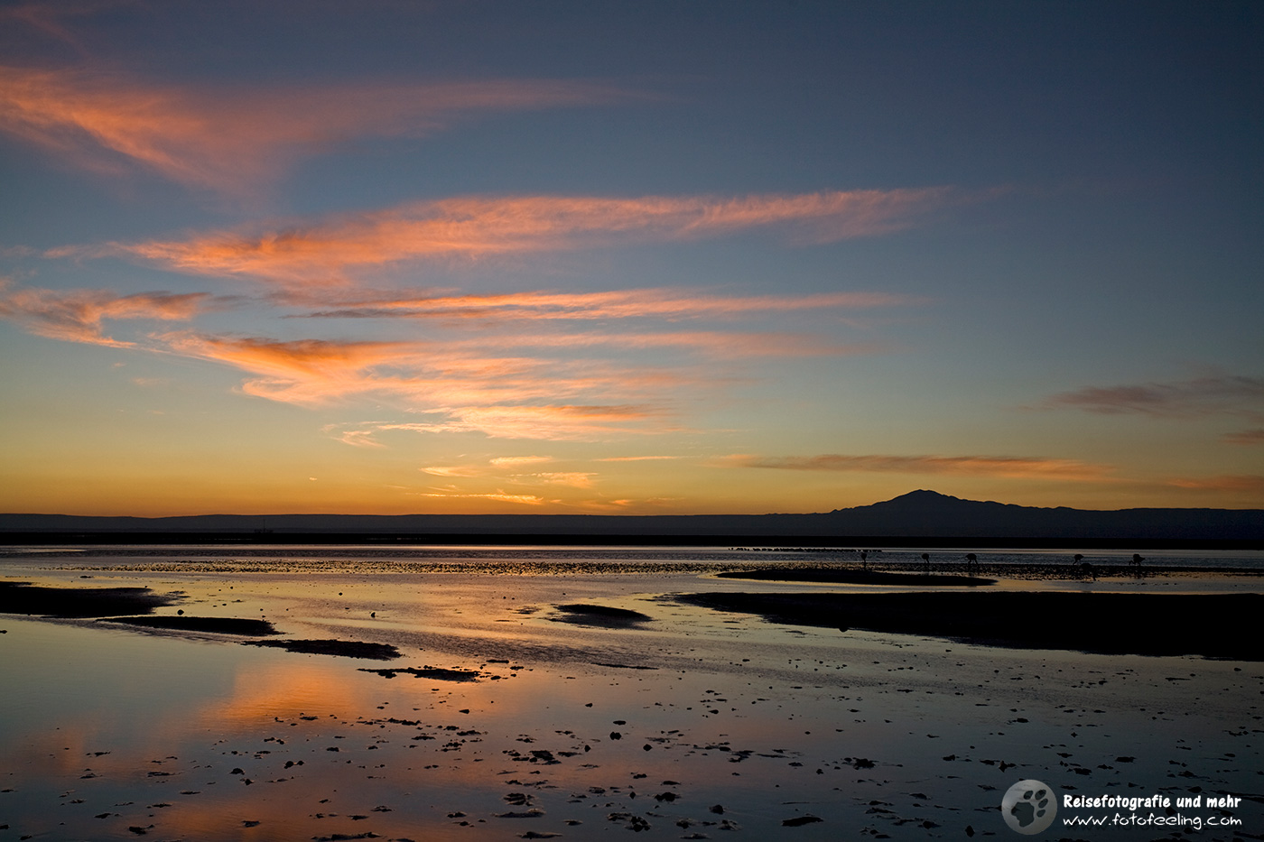 Lagune Lago Chaxa im Sonnenuntergang, Salzsee Salar de Atacama
