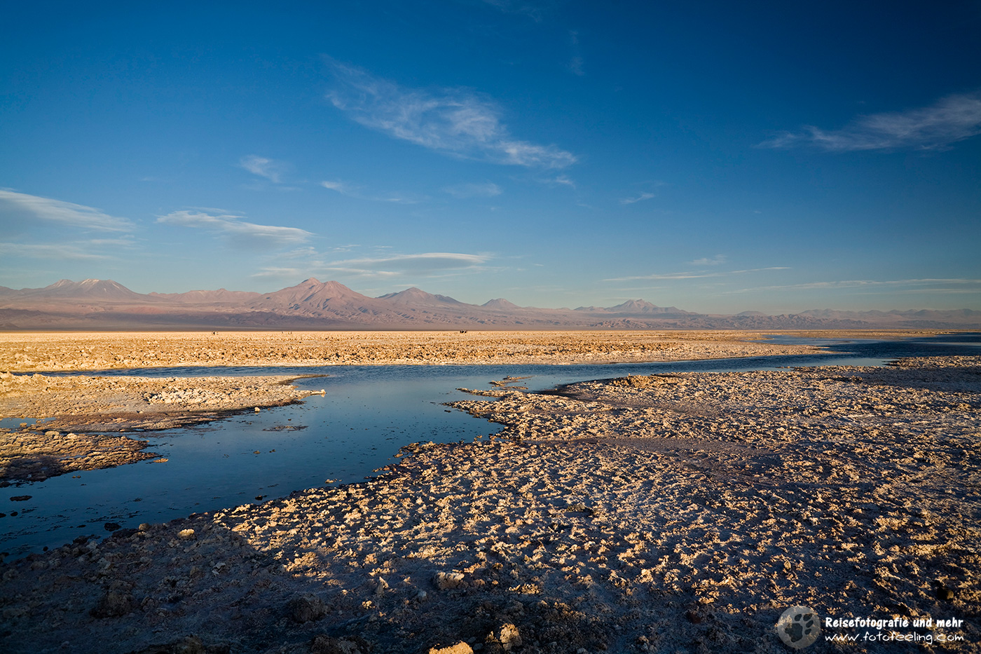 Lagune Lago Chaxa im Sonnenuntergang, Salzsee Salar de Atacama