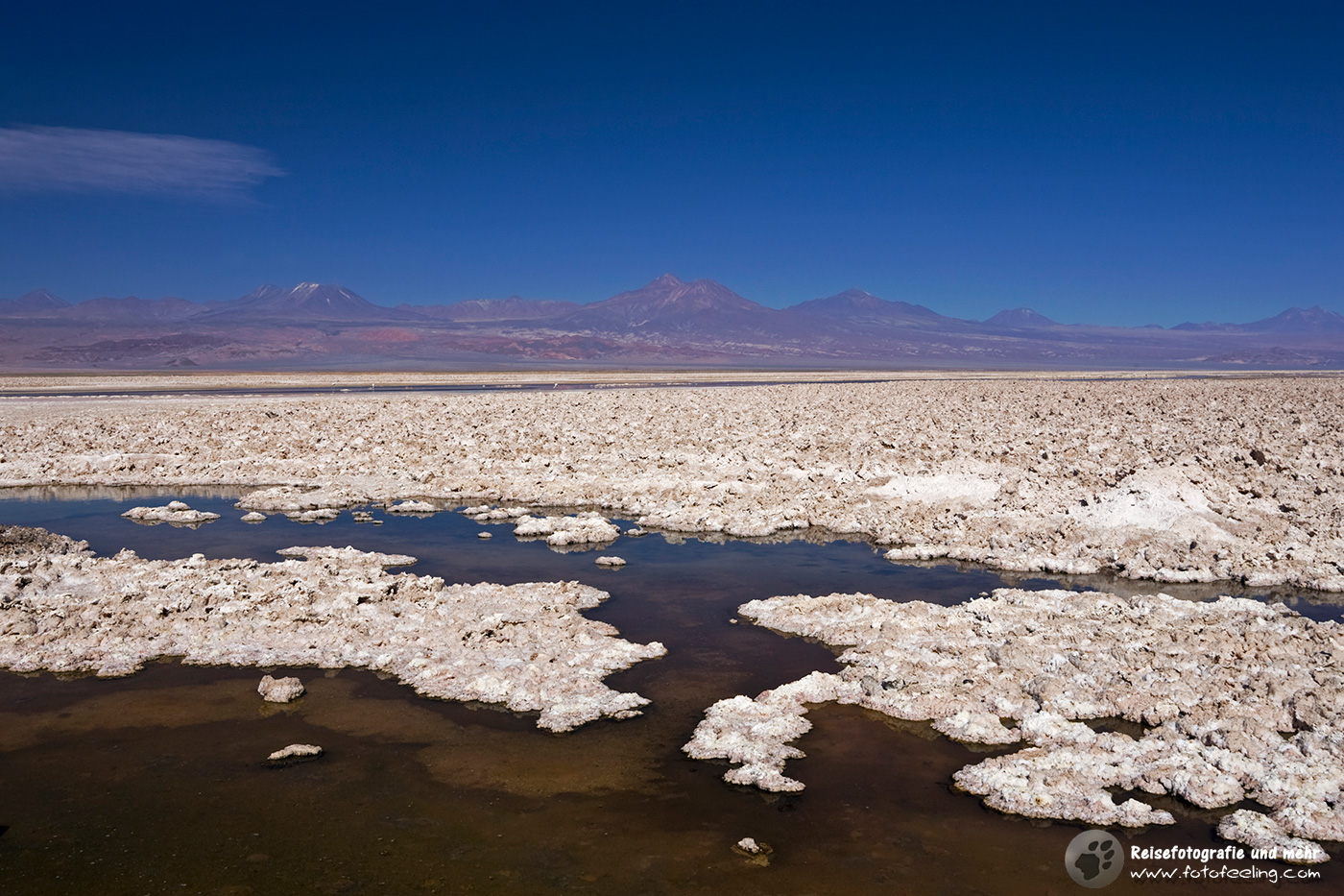 Lagune Lago Chaxa, Salzsee Salar de Atacama