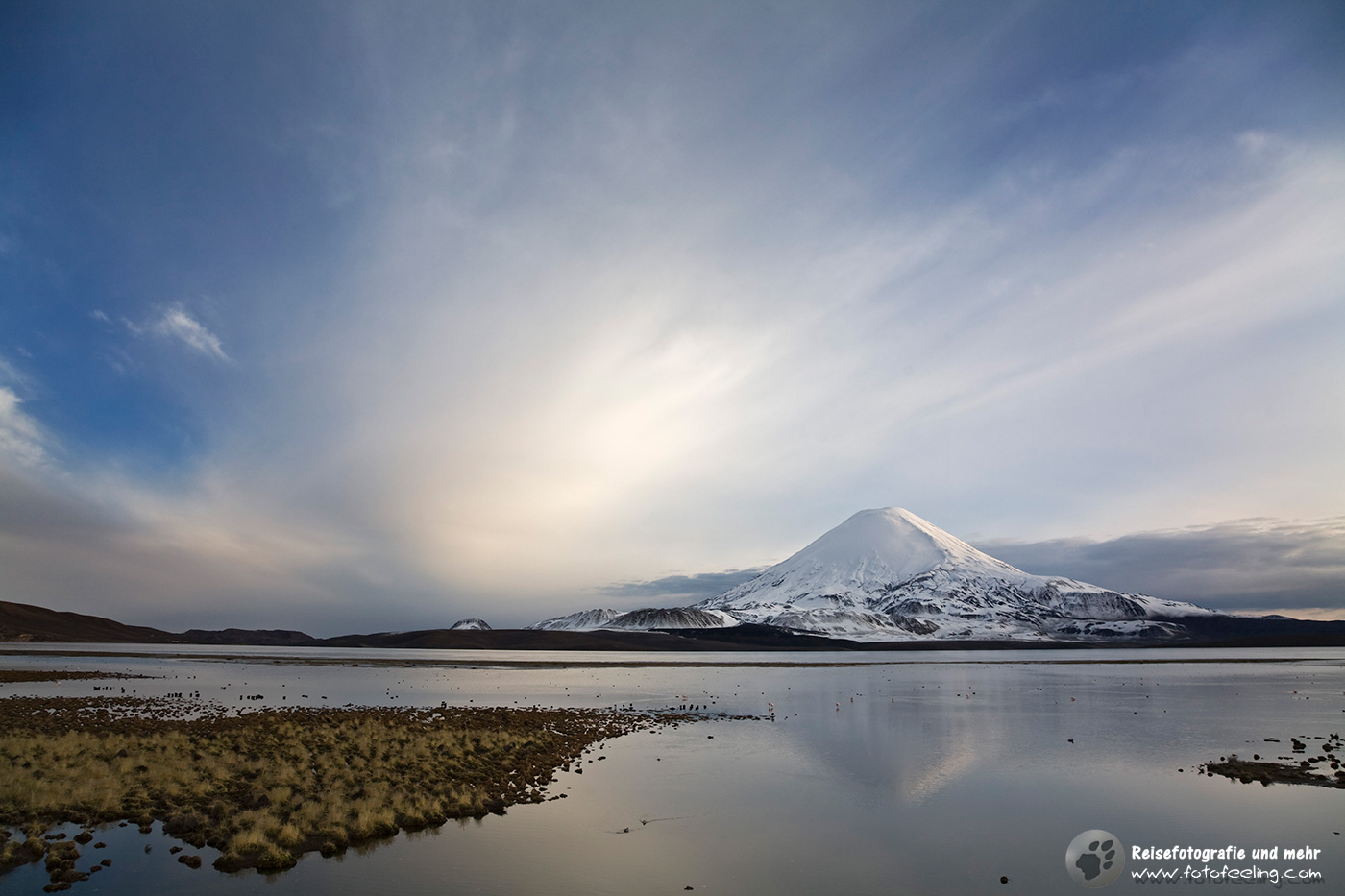 Vulkan Parinacota am frühen Morgen am See Lago Chungara
