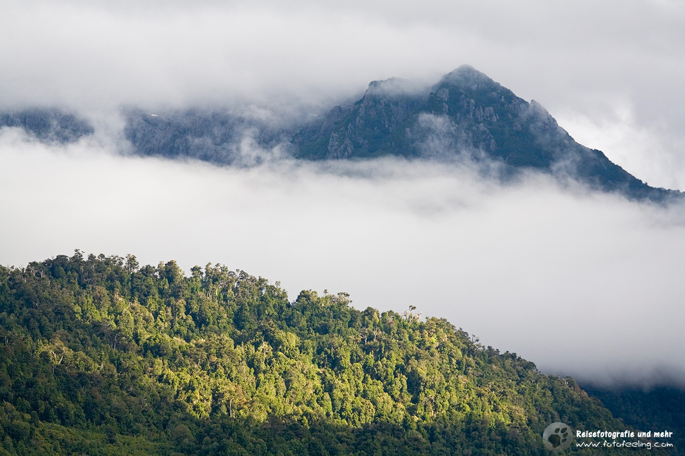 Mystische Regenstimmung