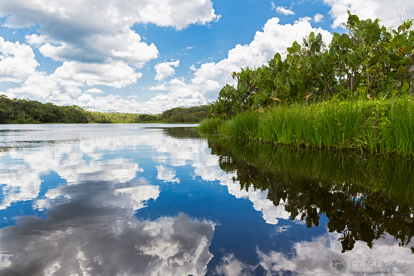 Pilchicocha See, Schwarzwasser Lagune