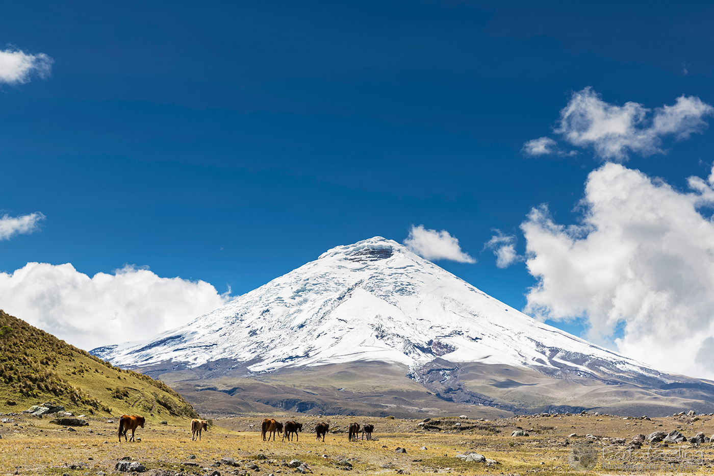 Cotopaxi - 5897 m