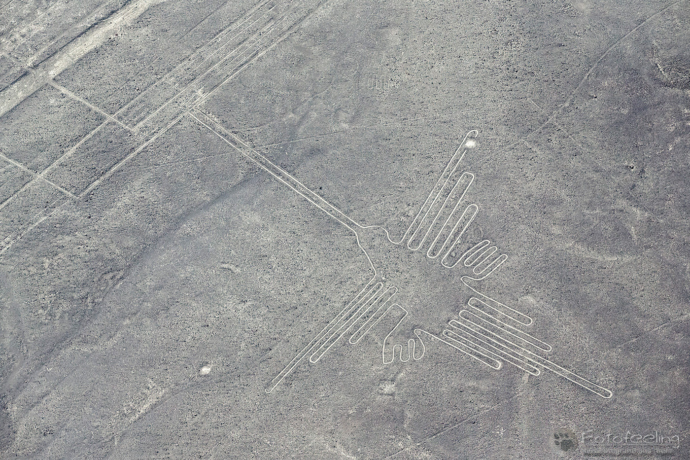 Flug über die Nasca Linien, Der Kolibri - The Hummingbird