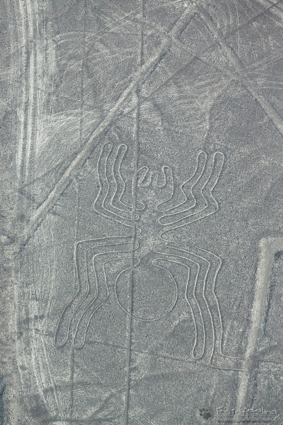 Flug über die Nasca Linien, Die Spinne -  The Spider