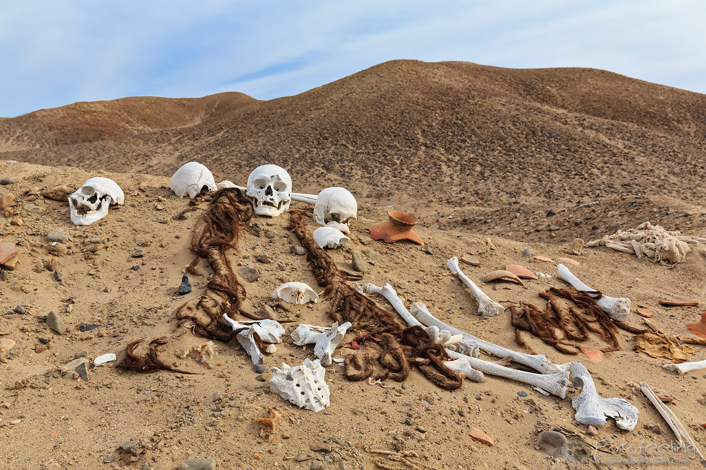 Knochen und Totenköpfe in der Wüste