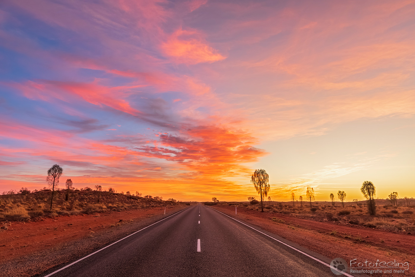 AUS20 5D41 08598 HDR n