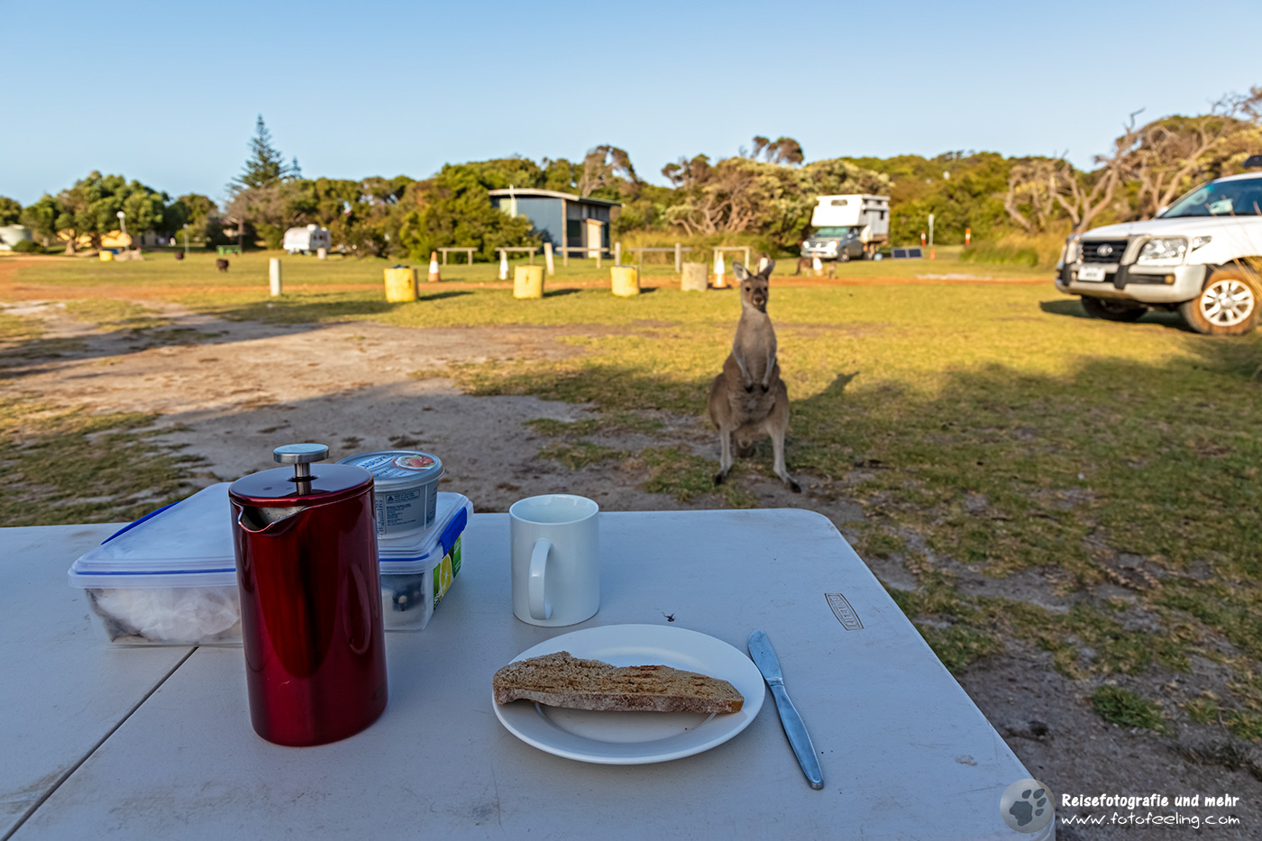 Frühstück mit Kängurus, der Titel unseres Reiseberichtes