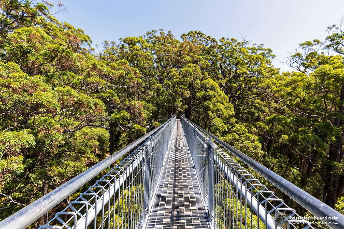 Tree Top Walk im Valley of the Giants, Walpole-Nornalup Nationalpark,  Western Australia, Australien