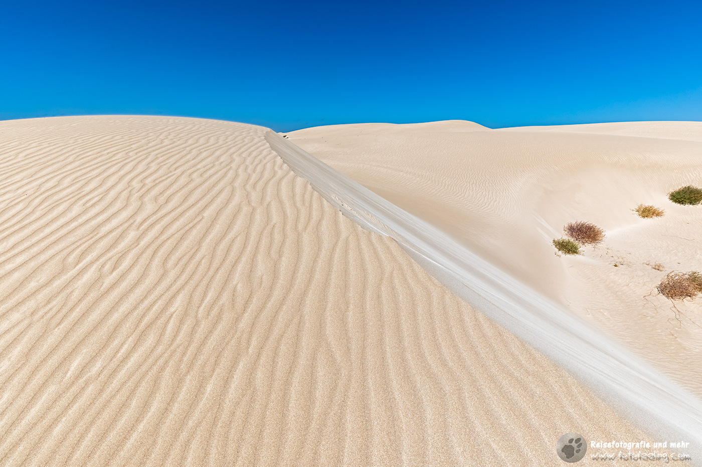 Sanddünen bei Fowlers Bay, South Australia, Australien