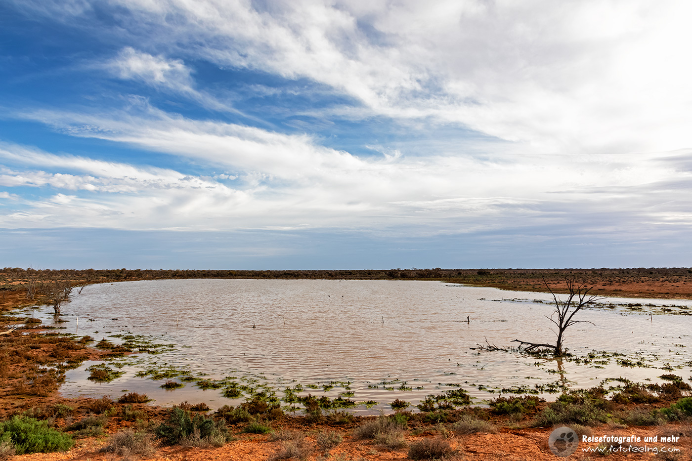 Kleiner See am Stuart Highway, South Australia, Australien