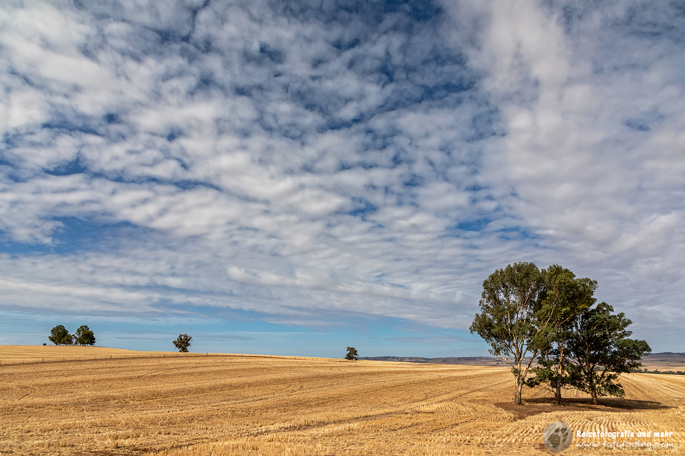 Stoppelfelder, South Australia, Australien