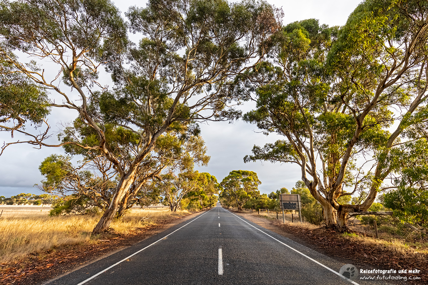Tolle Straße, South Australia, Australien