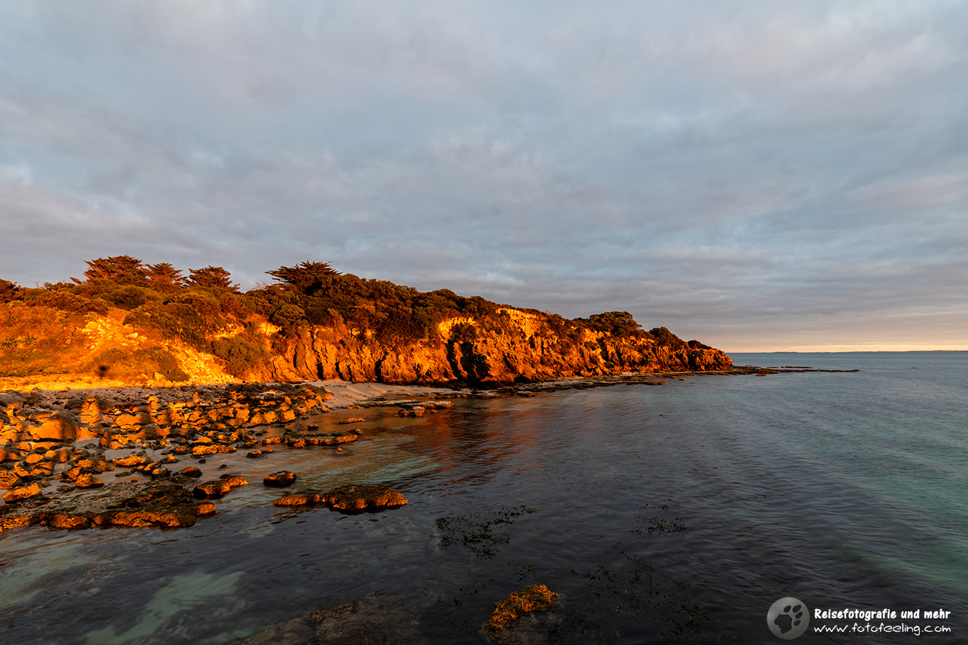 Felsküste im Morgenlicht, Robe, South Australia, Australien