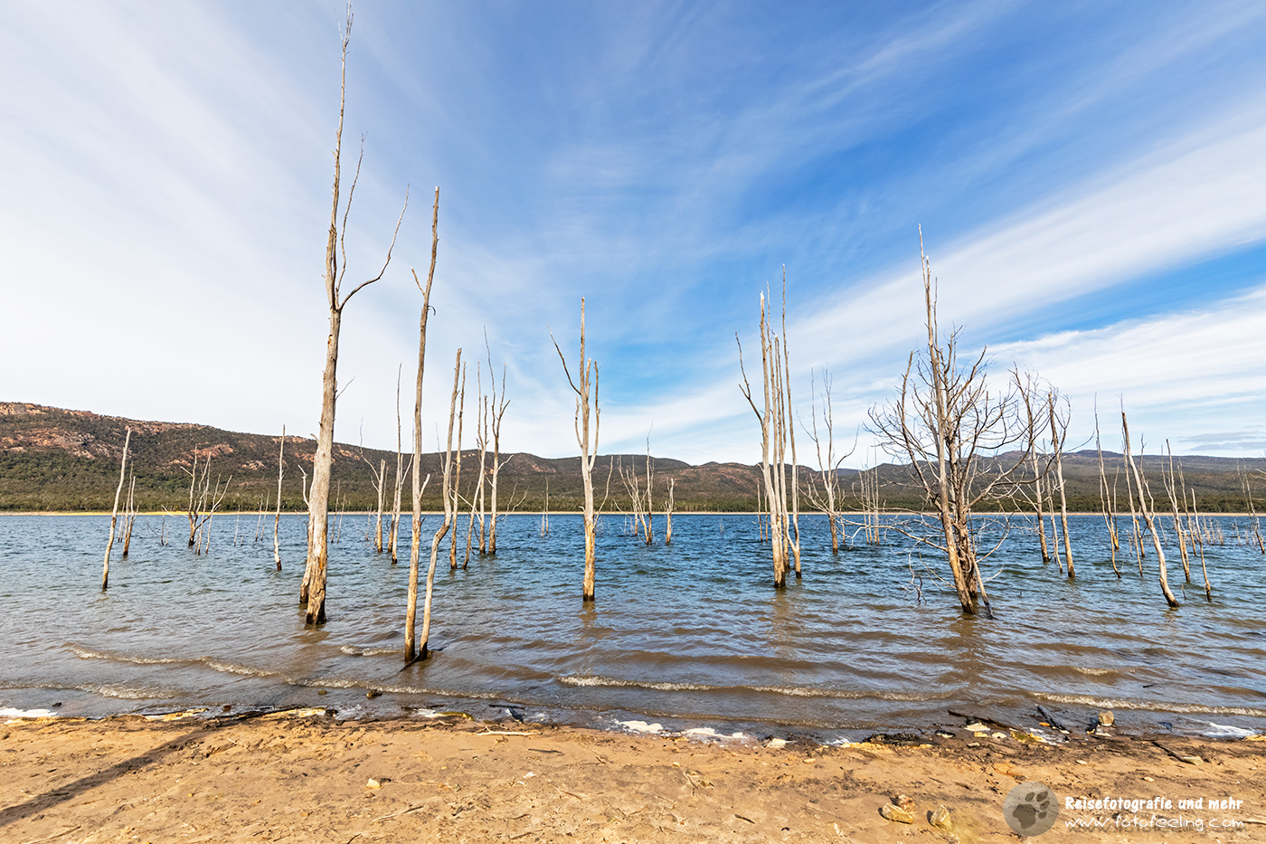 Tote Bäume im Lake Bellfield, Grampians Nationalpark, Victoria, Australien