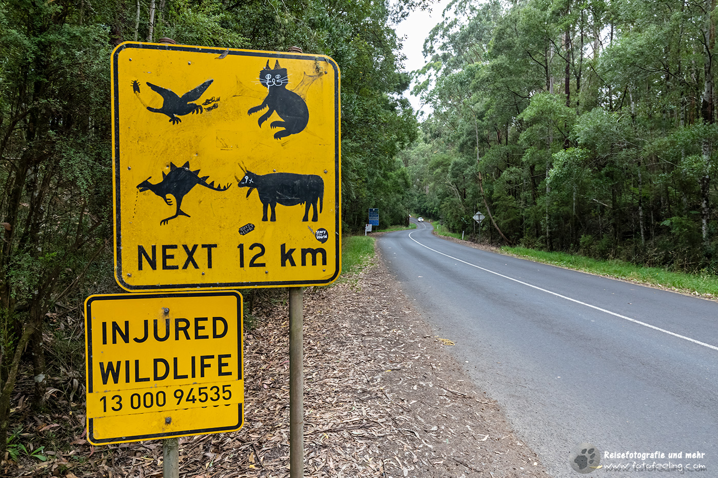 Achtung Wildlife auf den nächsten 12 km