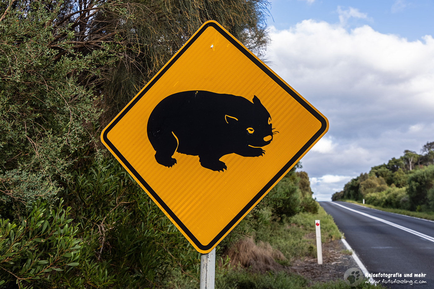 Achtung Wombats Schild, Wilsons Promontory National Park, Victoria, Australien
