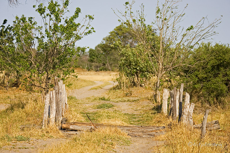 Second Bridge