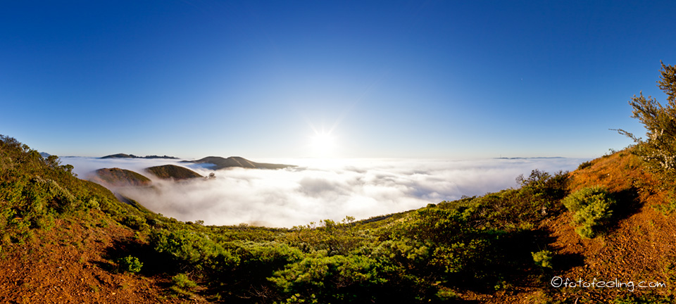 Nebel über San Francisco