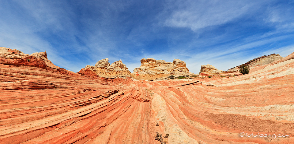 White Pocket - Arizona - Paria Plateau - Vermilion Cliffs N.M.