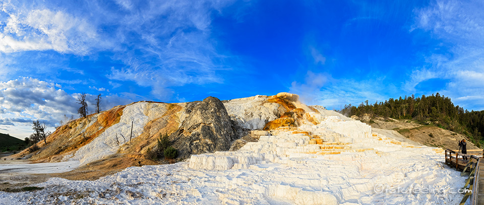 Mammoth Hot Springs, Lower Terraces, Palette Spring, Yellowstone Nationalpark, Wyoming, Amerika
