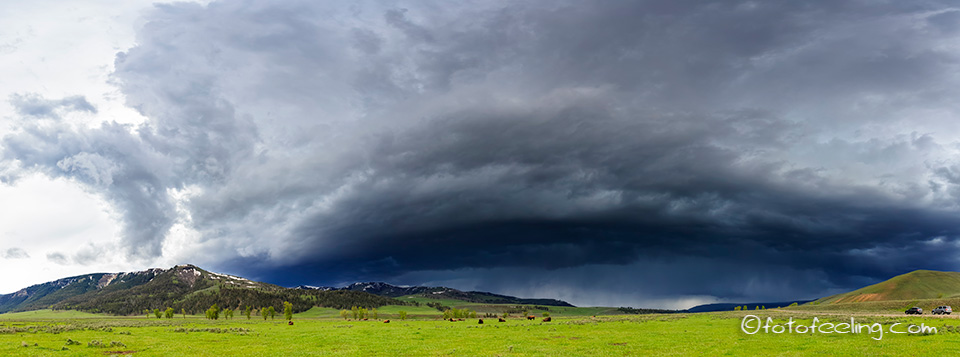 Unwetter über dem Lamar Valley mit Bisonherde, Yellowstone Nationalpark, Wyoming, Amerika
