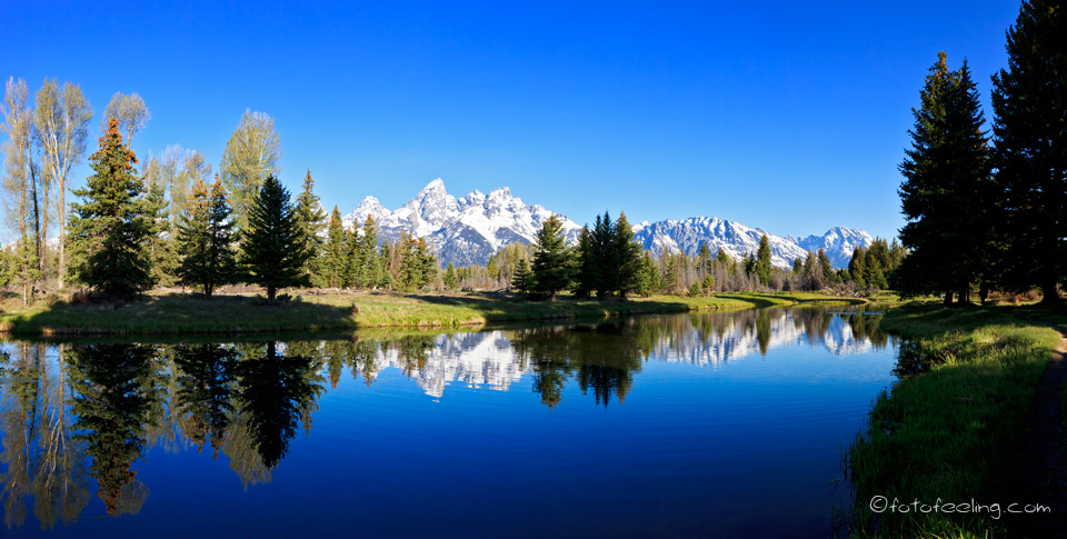 Schwabachers Landing mit dem Snake River, Grand Teton Nationalpark