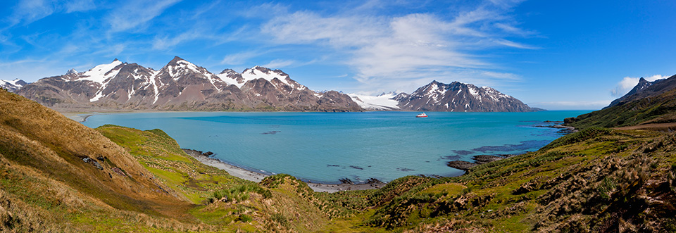 Fortuna Bay - Südgeorgien