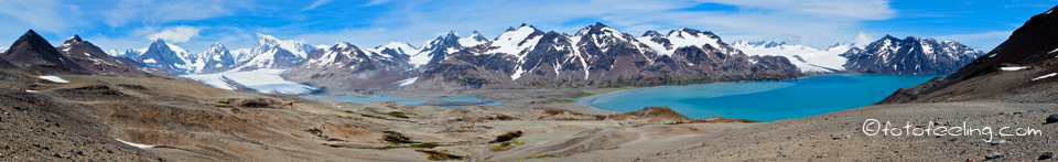 Fortuna Bay - Südgeorgien