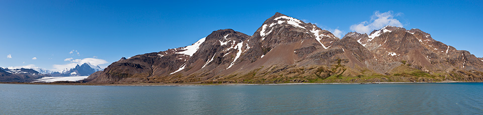 Fortuna Bay - Südgeorgien