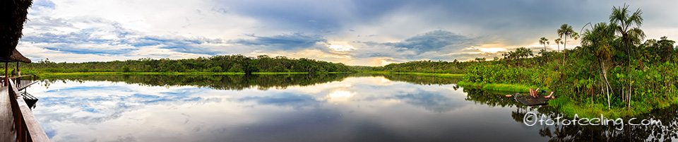 Pilchicocha-See, (Schwarzwasserlagune) an der Sacha Lodge, Amazonas Becken, Ecuador